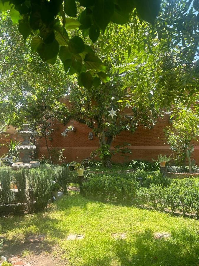 Casa Matia Bed And Breakfast 산미겔데아옌데 외부 사진