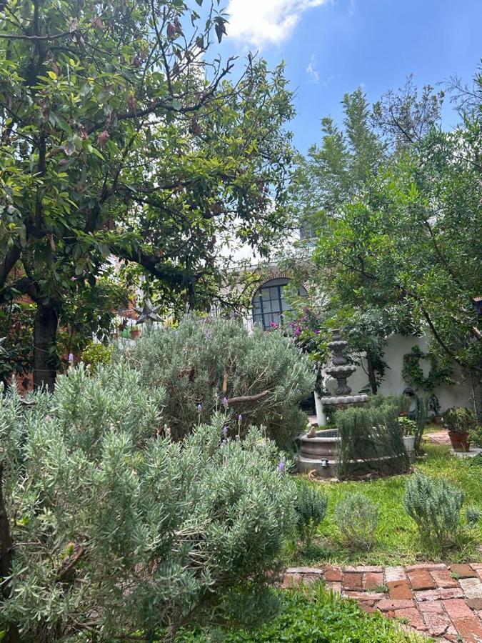 Casa Matia Bed And Breakfast 산미겔데아옌데 외부 사진